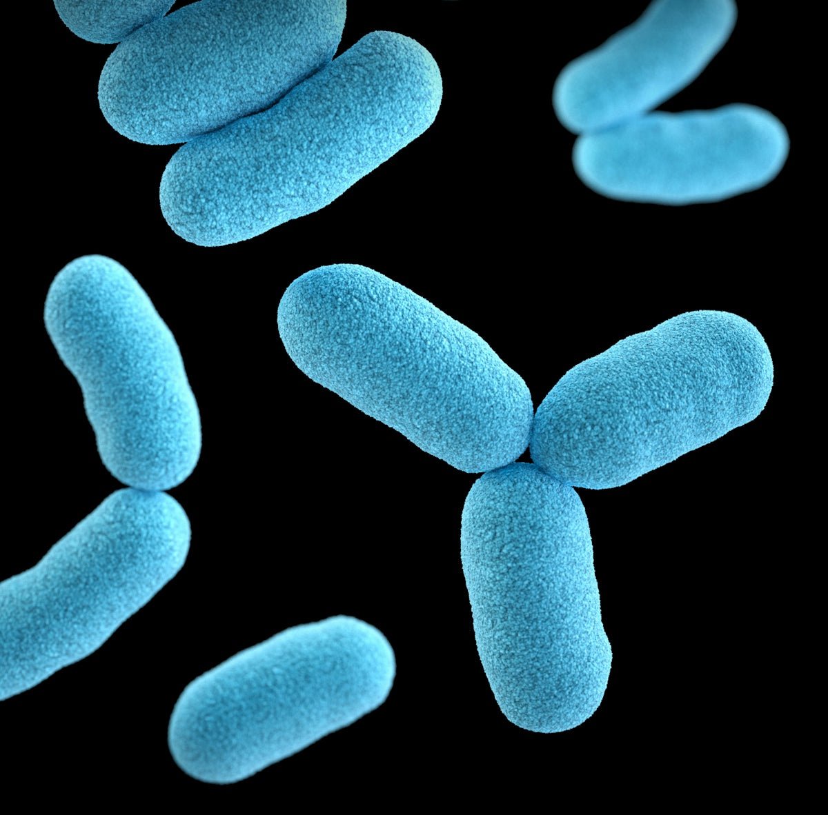 The Role of Magnesium in Enhancing British Wellness through Quality Health Supplements and Vitamins UK - Twenty First Century Herbs