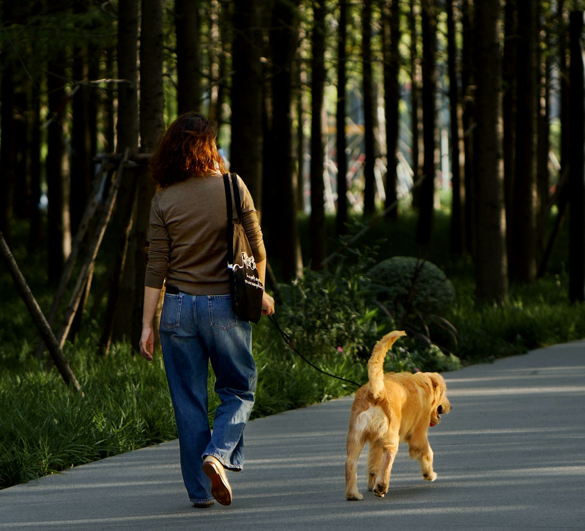 Woman walks dog on path through trees