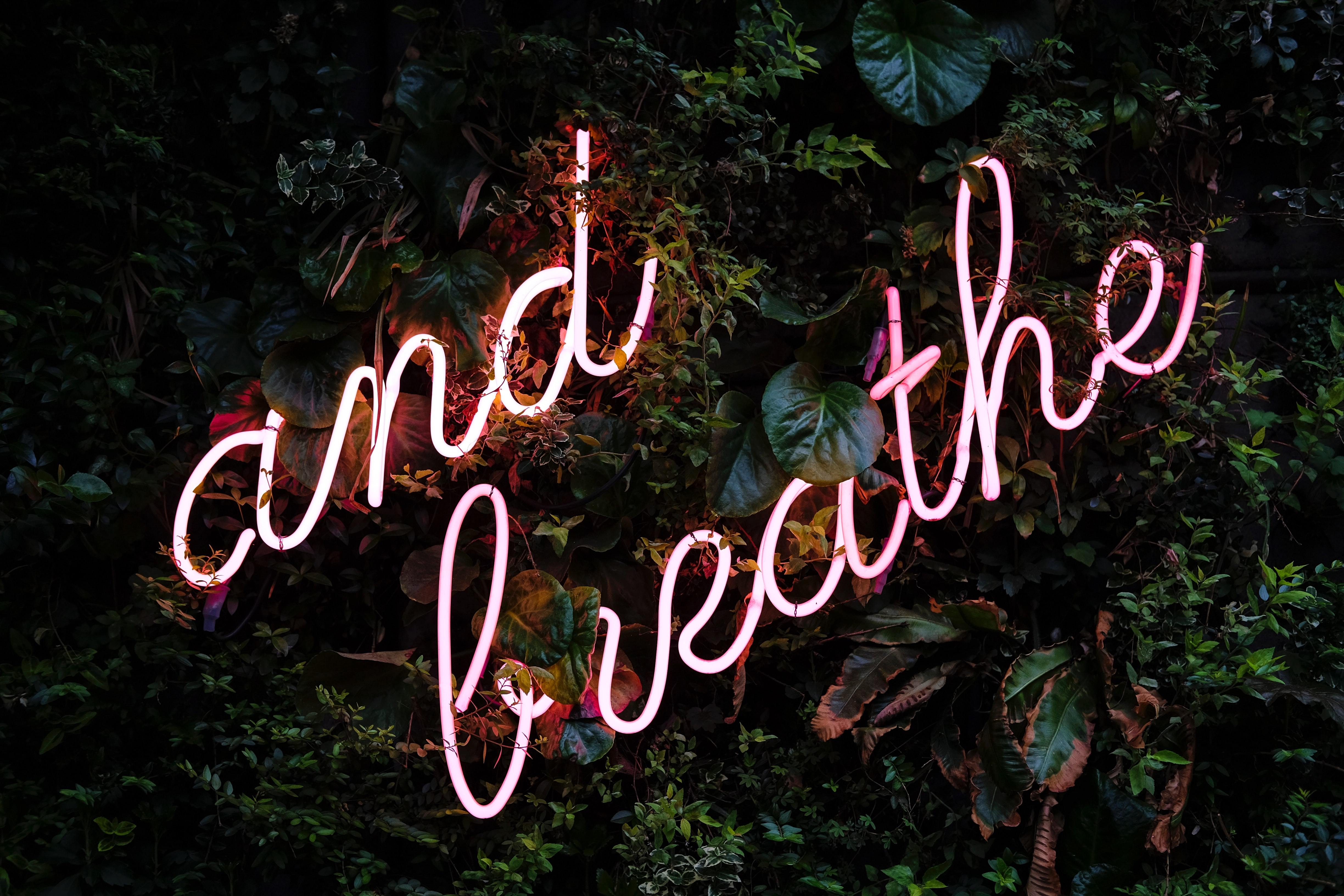 Breathe Easy With Lungwort Complex™️ - Twenty First Century Herbs
